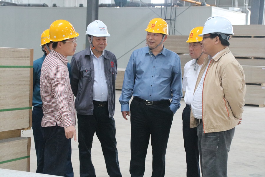 Peng Jianxin, President of Sinoma, and his party came to our company for investigation