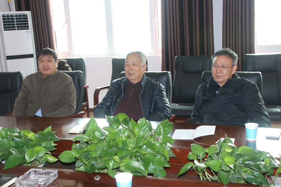 Zhang Renwei, Honorary President of China Building Materials Federation, visited Sinoma (Yichang) Energy-saving New Materials Co., Ltd. Dangyang new multifunctional energy-saving environmental protection wall material industrial base project investigation